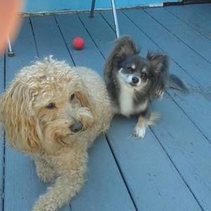 Meet your Posher, Christine